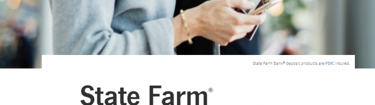 State Farm Visa Card Logo