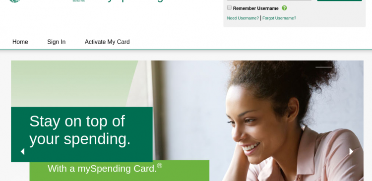 mySpending Card Logo