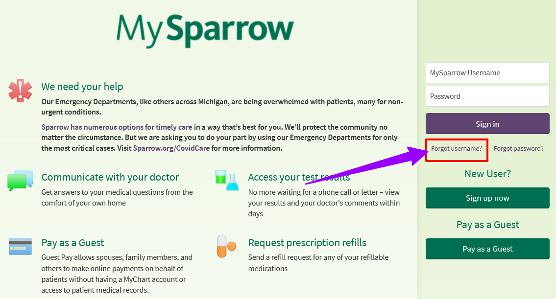 How to recover MySparrow forget username online